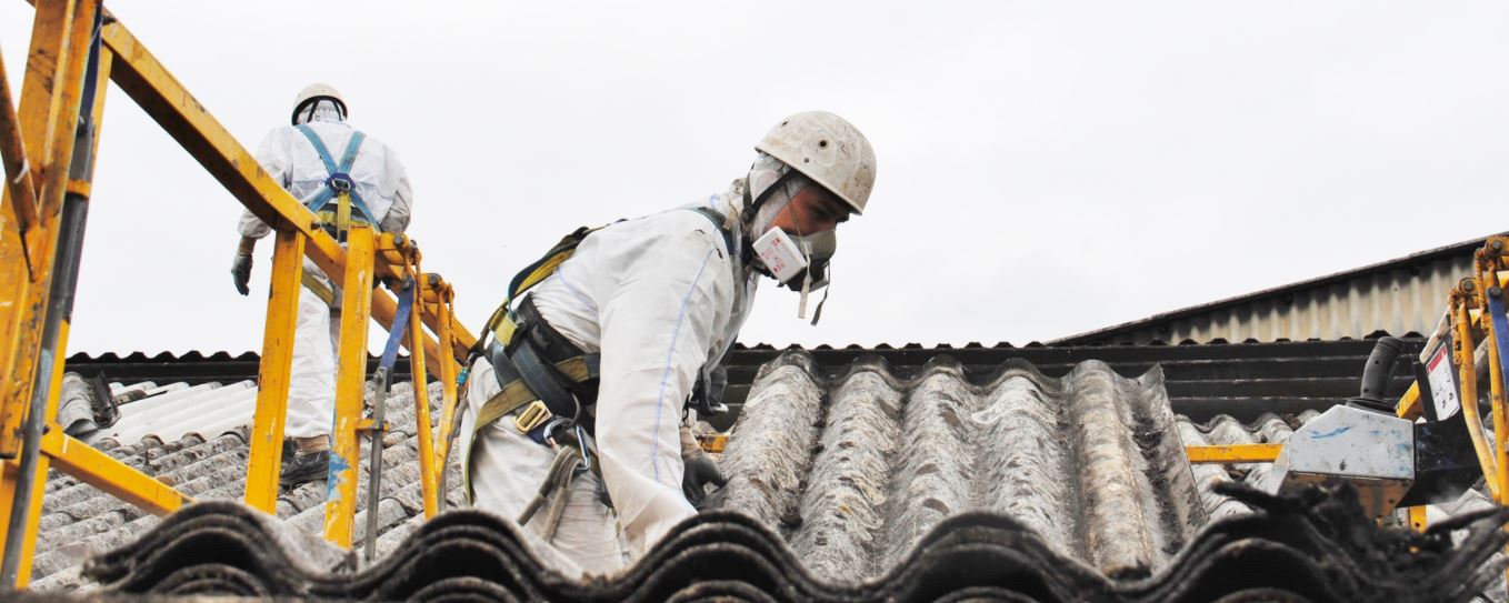 professional asbestos removal